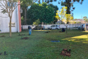 Hospital Infantil de Campo Largo ganha floresta terapêutica para auxiliar na recuperação de crianças