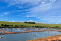 ADAPAR - Em cooperação com instituto norueguês, Adapar inicia projeto de biosseguridade na produção de tilápia