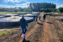 ADAPAR - Em cooperação com instituto norueguês, Adapar inicia projeto de biosseguridade na produção de tilápia