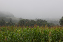 TEMPESTADES RETORNAM AO PARANÁ, COM VOLUMES DE CHUVA MAIS EXPRESSIVOS NA FAIXA CENTRAL