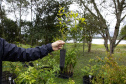 Sítios experimentais da Sanepar validam eficiência de tecnologias de sucessão ecológica para recuperação de áreas degradadas
