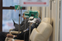 Paraná é o primeiro estado do Brasil a usar IA da Google para ajudar médicos no tratamento do câncer