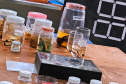 Universidades estaduais unem ensino e assistência especializada para fortalecer a toxicologia no Paraná