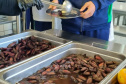 Em oito anos, Paraná investe R$ 2,8 bilhões e diversifica alimentação escolar com orgânicos, frutas nativas e tecnologia de conservação