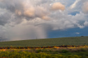 TEMPESTADES RETORNAM AO PARANÁ, COM VOLUMES DE CHUVA MAIS EXPRESSIVOS NA FAIXA CENTRAL