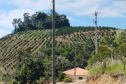 IAT - Regularização fundiária