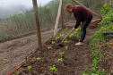 IAT - Hortas Comunitárias Campo Largo