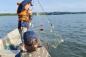 Sanepar e UFPR identificam peixe que atua como "filtro ecológico" e reduz emissão de gases do efeito estufa