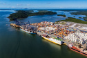 Portos do Paraná impulsiona exportação de frango e acelera transição energética no complexo