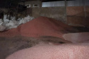 PCPR prende 7 pessoas e apreende maquinário para adulteração de fertilizantes em Ponta Grossa