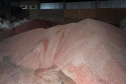 PCPR prende 7 pessoas e apreende maquinário para adulteração de fertilizantes em Ponta Grossa