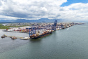 Porto de Paranaguá responde por quase 50% das exportações brasileiras de frango
