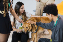 Estudantes da rede estadual transformam adoção animal em campanhas de impacto e conquistam prêmio nacional de criatividade