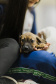 Estudantes da rede estadual transformam adoção animal em campanhas de impacto e conquistam prêmio nacional de criatividade