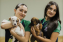 Estudantes da rede estadual transformam adoção animal em campanhas de impacto e conquistam prêmio nacional de criatividade