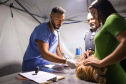 CastraPet vai beneficiar seis mil cães e gatos de 37 municípios do Paraná em junho.