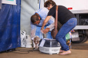 Mutirões do CastraPet vão passar por 21 municípios do Paraná em julho e beneficiar cerca de 3,3 animais.