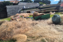 IAT - Operação Bioma Seguro