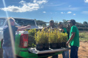 Balanço Semana do Meio Ambiente