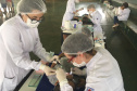 SETI - Universidades Estaduais do Paraná oferecem atendimento odontológico gratuito para bebês e crianças