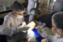 SETI - Universidades Estaduais do Paraná oferecem atendimento odontológico gratuito para bebês e crianças