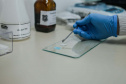  Dos testes de rotina às novas drogas sintéticas: como a Polícia Científica identifica substâncias apreendidas