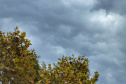 CLIMA