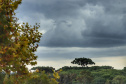 CLIMA