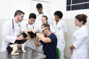 Universidades estaduais oferecem assistência veterinária para animais de  pequeno e grande porte