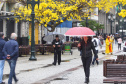 FRENTES FRIAS E SISTEMAS DE BAIXA PRESSÃO TRARÃO CHUVA ACIMA DA MÉDIA EM SETEMBRO, PREVÊ SIMEPAR