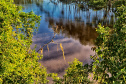 Parque Estadual do Palmito (Paranaguá)