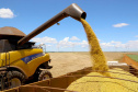 Valor de produção agricola IBGE