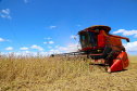 Valor de produção agricola IBGE