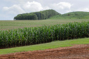 Valor de produção agricola IBGE