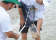 Saúde alerta para cuidados com queimaduras por águas-vivas. Foto: Venilton Kuchler/ Arquivo SESA