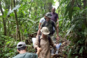 Uma equipe da Secretaria de Estado da Saúde está em Antonina, no Litoral, para investigar o local em que foram encontrados três macacos mortos e uma carcaça mais antiga, diante da possibilidade de que os animais tenham morrido por causa da febre amarela. - Foto: Divulgação SESA