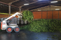 O Paraná é o terceiro estado brasileiro com o maior número de produtos certificados ou em processo de certificação de Indicação Geográfica. A importância da erva-mate para a história do Paraná – um
ramo da planta é inclusive um dos símbolos do brasão do Estado – foi um dos fatores
que levou à certificação do produto no ano passado. Foto: José Fernando Ogura/ANPr