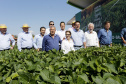 O governador Carlos Massa Ratinho Junior recebe a ministra da Agricultura, Pecuária e Abastecimento, Tereza Cristina, no Show Rural Coopavel. - Cascavel, 08/02/2019 - Foto: Arnaldo Alves/ANPr