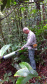 Duas equipes de entomologistas da Secretaria de Estado da Saúde estão coletando mosquitos em áreas de mata e periurbanas (nas periferias de cidades) de todo o Litoral do Paraná, incluindo a região onde foram encontrados os macacos mortos pela febre amarela, em Antonina. -  Curitiba, 13/02/2019  -  Foto: Divulgação SESA
