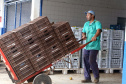 Por meio do Banco de Alimentos da Ceasa, hortigranjeiros são reaproveitados anualmente, evitando o desperdício e garantindo a segurança alimentar de cerca de 194 mil pessoas.Foto: Gilson Abreu/ANPr
