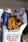 Por meio do Banco de Alimentos da Ceasa, hortigranjeiros são reaproveitados anualmente, evitando o desperdício e garantindo a segurança alimentar de cerca de 194 mil pessoas.Foto: Gilson Abreu/ANPr