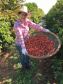 Rosana de Azevedo Felet, cafeicultora e coordenadora do projeto Mulheres do Café de Carlópolis - Foto: Divulgação