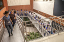 Alunos visitam Porto . - Paranaguá, 14/03/2019 - Foto:Claudio Neves/ Divulgação APPA