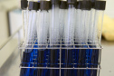 Marco de excelência nos serviços de saúde no Paraná, o Laboratório Central do Estado do Paraná (Lacen) se tornou também referência nacional para determinados exames, como os de resistência microbiana.  Foto: Antonio Américo/SESA - 13/05/2019