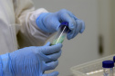 Marco de excelência nos serviços de saúde no Paraná, o Laboratório Central do Estado do Paraná (Lacen) se tornou também referência nacional para determinados exames, como os de resistência microbiana.  Foto: Antonio Américo/SESA - 13/05/2019