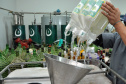 Desde 2008, a Agência de Inovação Tecnológica da
Unicentro (Novatec) utiliza bebidas como vinho, cerveja, vodka e licor como matéria-
prima para a produção de álcool etílico (líquido e em gel), usado para higienização e
limpeza. Foto: Chuniti Kawamura - Arquivo/ANPr