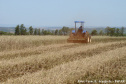 Plantio direto como prática de preservação do meio ambiente.  -  Foto:  Cézar Francisco Araujo Júnior/Iapar