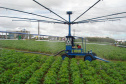 Plantio direto como prática de preservação do meio ambiente.  -  Foto:  Cézar Francisco Araujo Júnior/Iapar