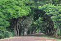  Itaipulândia. Foto: José Fernando Ogura/ANPr