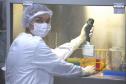 Dissertação de mestrado desenvolvida por uma farmacêutica do Instituto de Tecnologia do Paraná (Tecpar) busca reduzir o prazo e o custo para a produção da vacina antirrábica, patenteada recentemente pelo instituto. O estudo desenvolvido pela analista de biotecnologia industrial Beatriz Lourenço Correia Moreira propõe a realização de ensaio in vitro na etapa do controle interno da vacina, evitando a utilização de animais.  -  Curitiba, 11/06/2019  -  Foto: Divulgação Tecpar